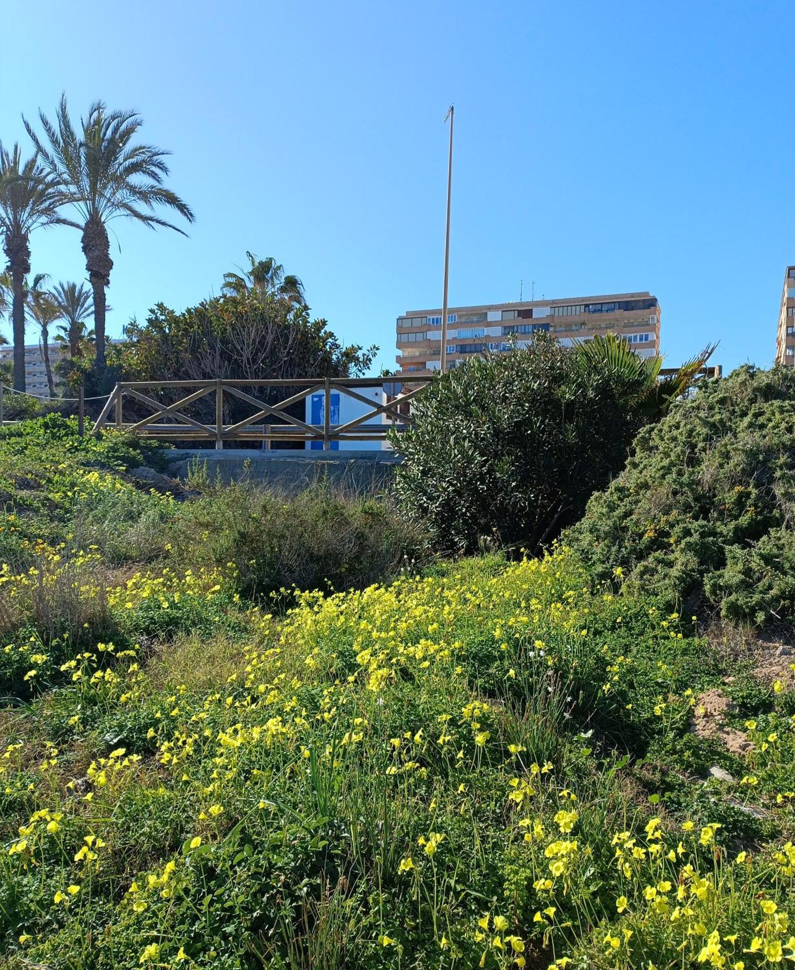 Apartamento Miramar Torrevieja Exterior photo