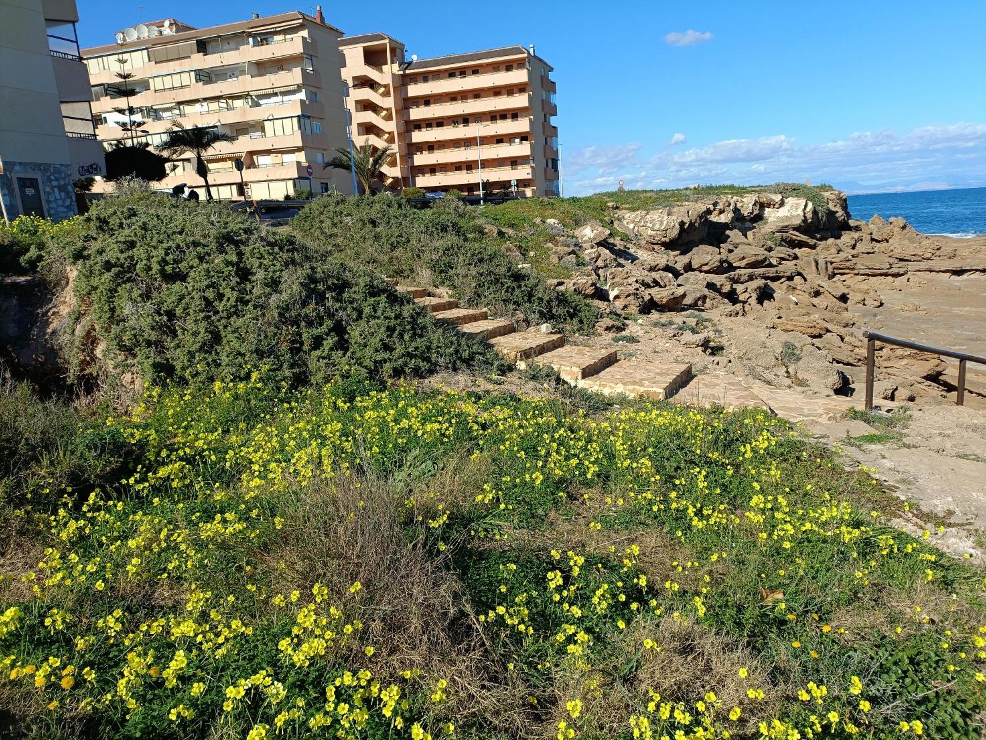 Apartamento Miramar Torrevieja Exterior photo